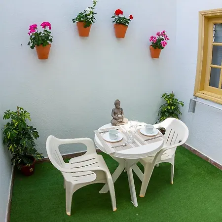 Flor Del Drago Apartmán Icod De Los Vinos