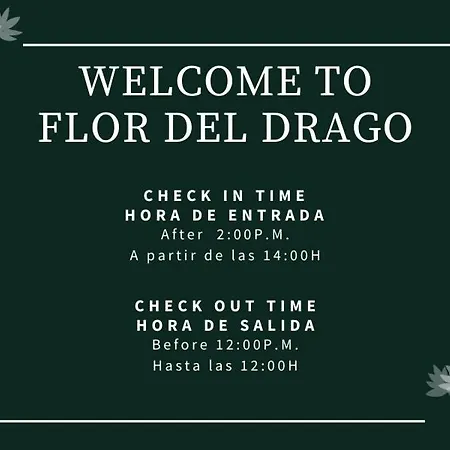 公寓 Flor Del Drago *
